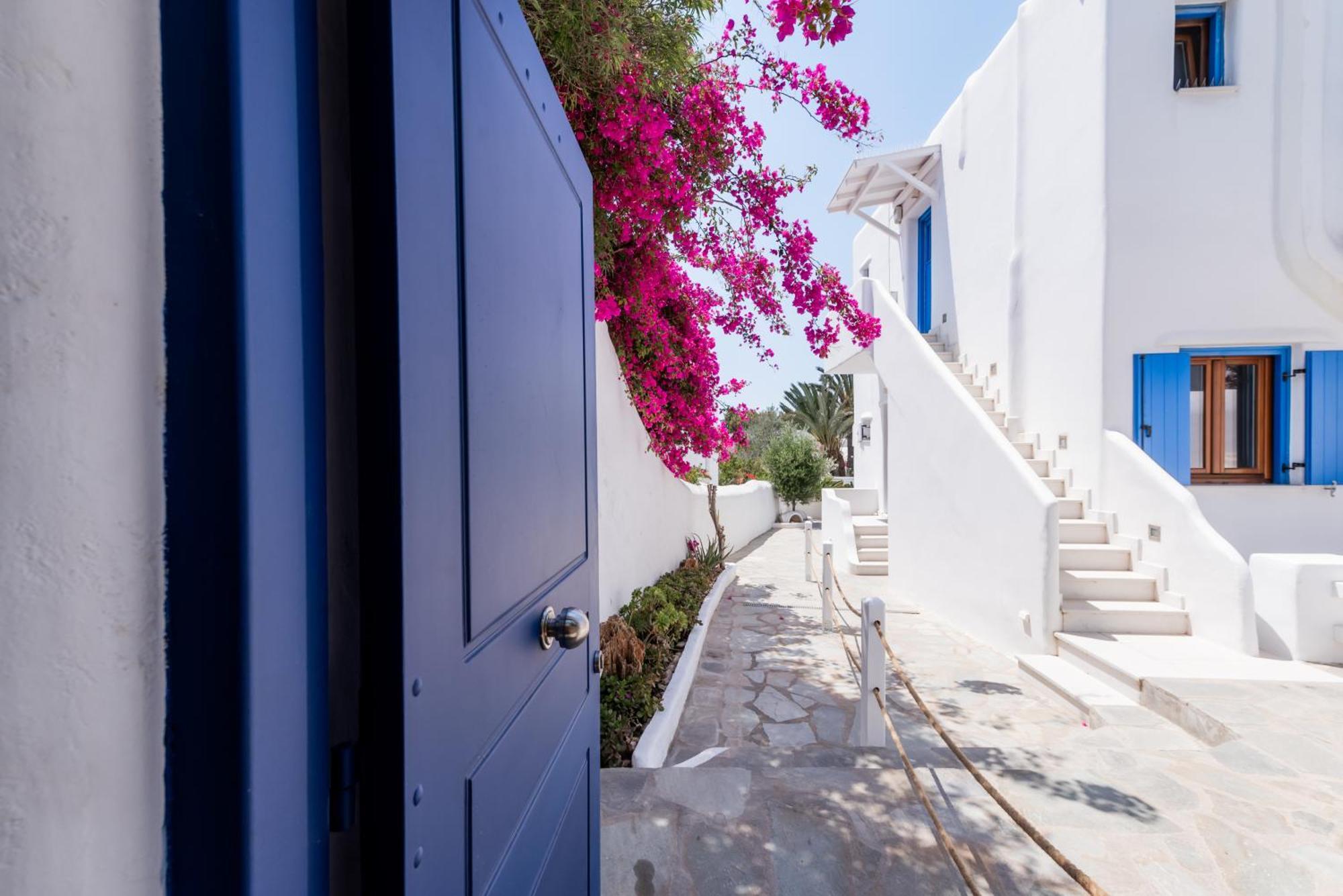 Olive Tree Mykonos Town Semi-Basement Apartment Eksteriør billede