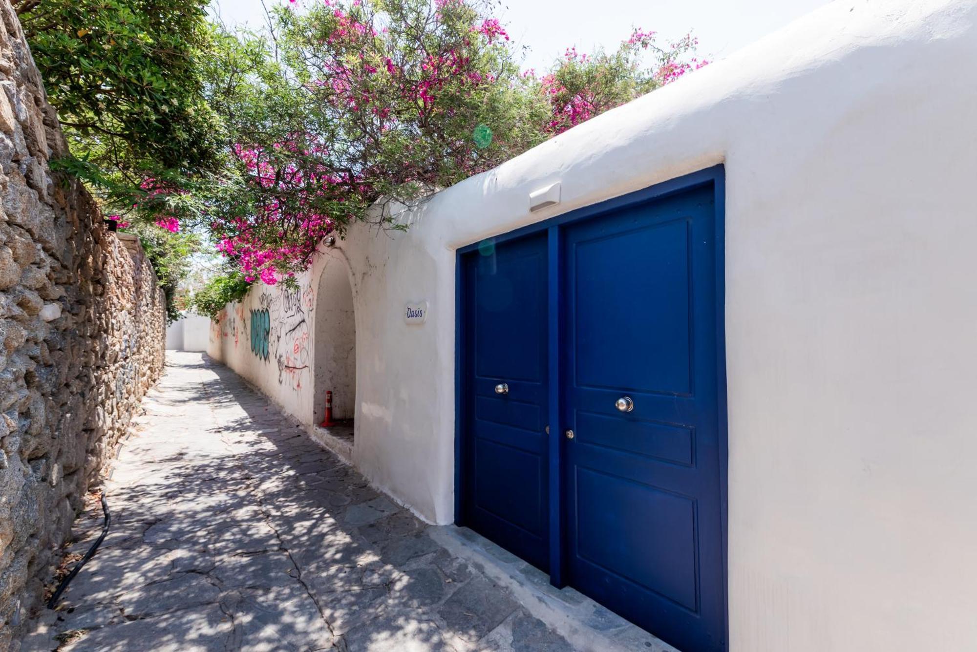 Olive Tree Mykonos Town Semi-Basement Apartment Eksteriør billede