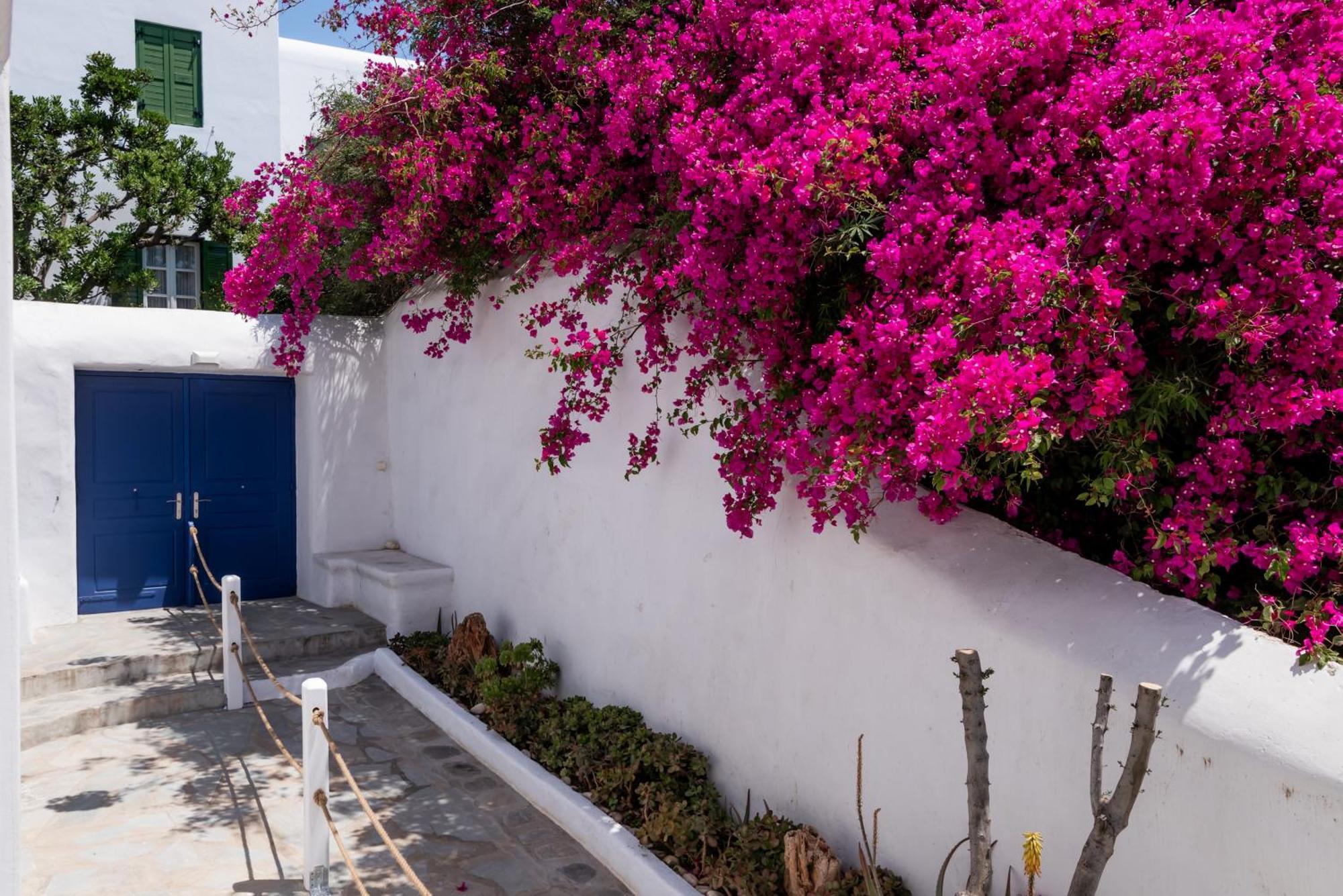 Olive Tree Mykonos Town Semi-Basement Apartment Eksteriør billede